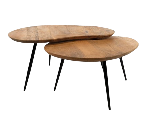 Erfurt Salontafel set van 2