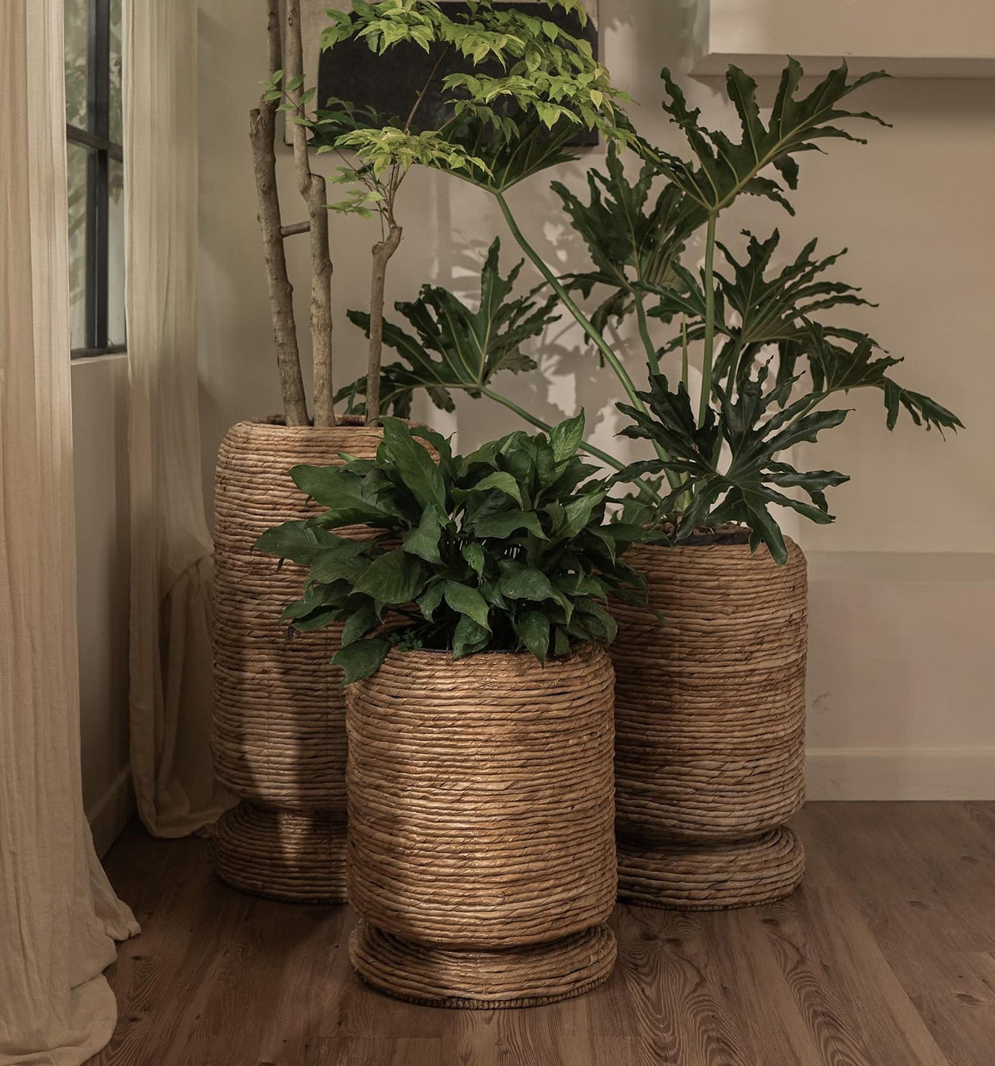 Cone Planten Pot/Mand