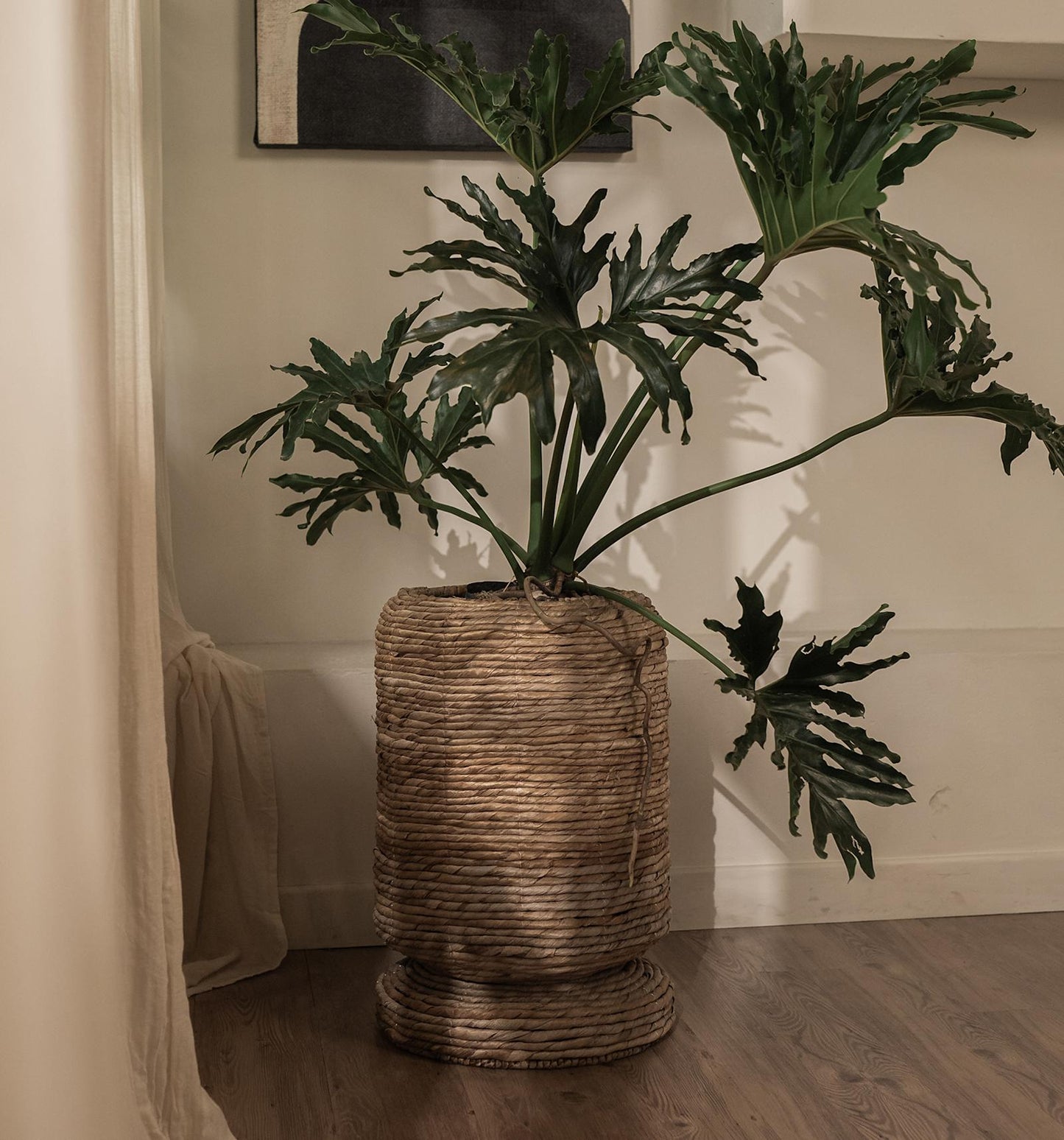 Cone Planten Pot/Mand