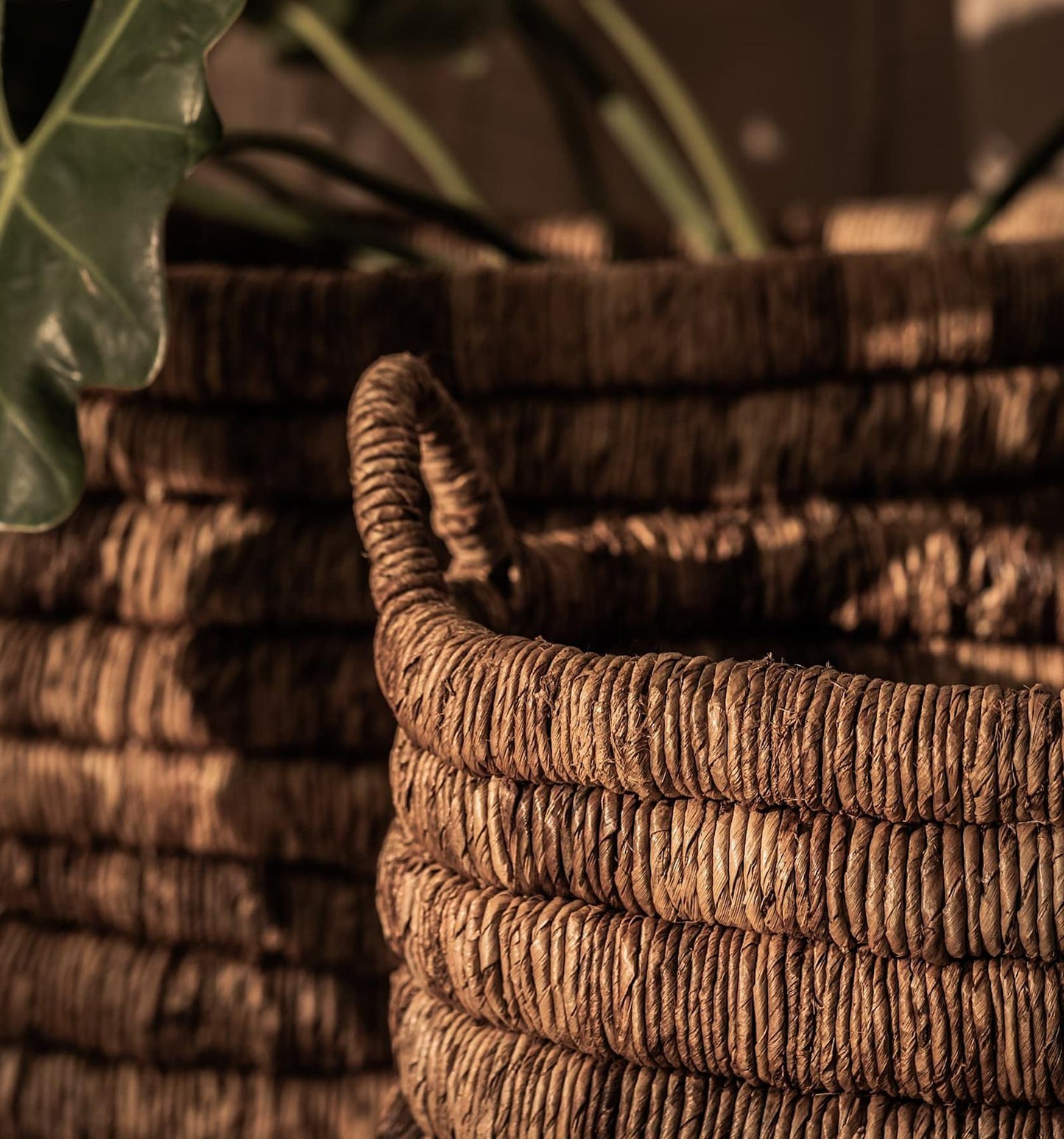 Caterpillar Sago Rechthoekige Manden Set