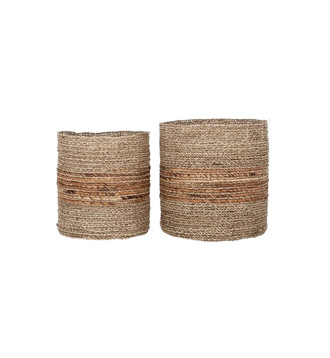 MUST Carvoeiro Manden