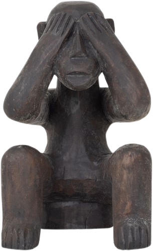 MUST Beeld - do, see, say, hear nothing