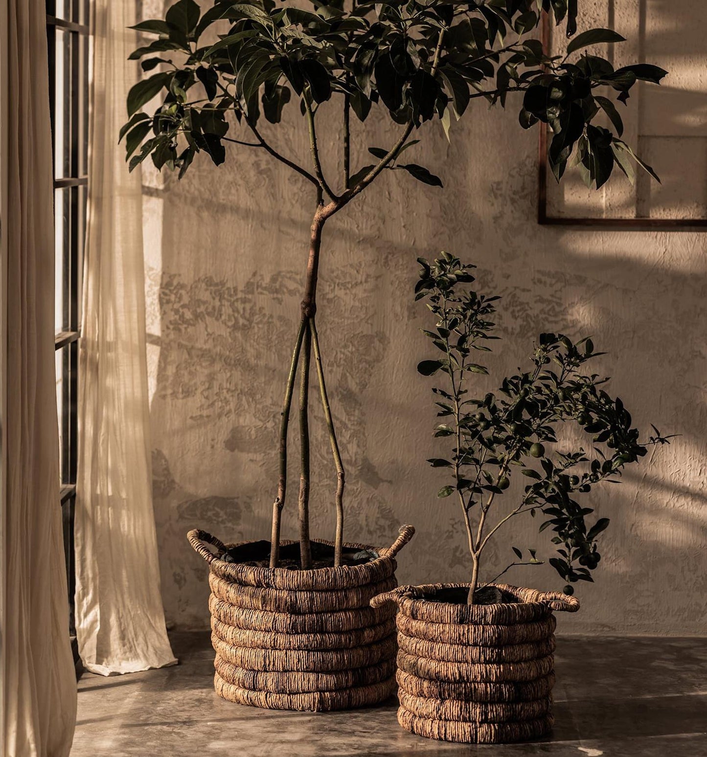 Caterpillar Sago Manden Set